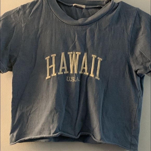 Brandy Melville Tops - Brandy Melville Blue Crop Top